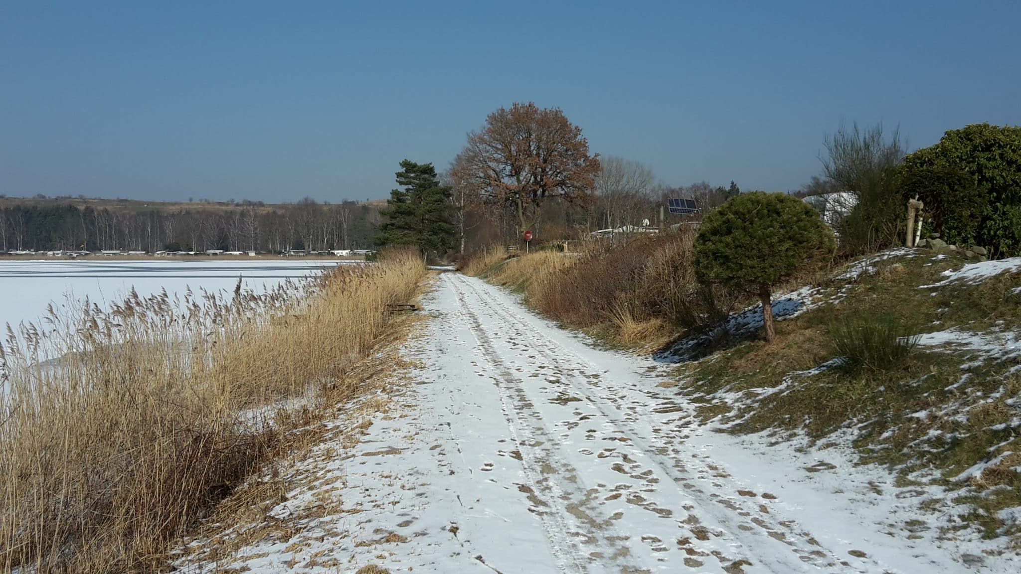NaturPur! am Sonnensee