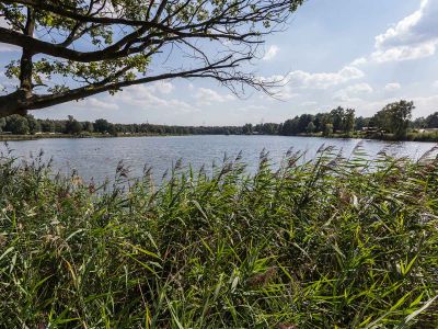 Sonnensee