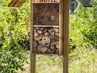 Insektenhotel Sonnensee